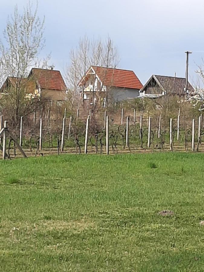 Grapeline Guesthouse Chotin Екстер'єр фото