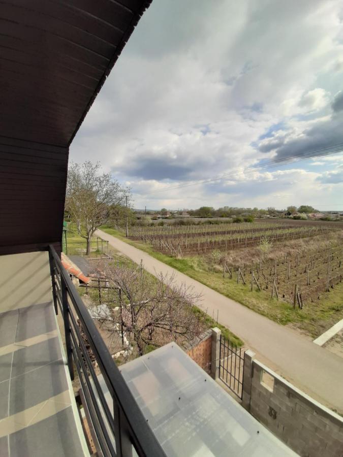 Grapeline Guesthouse Chotin Екстер'єр фото