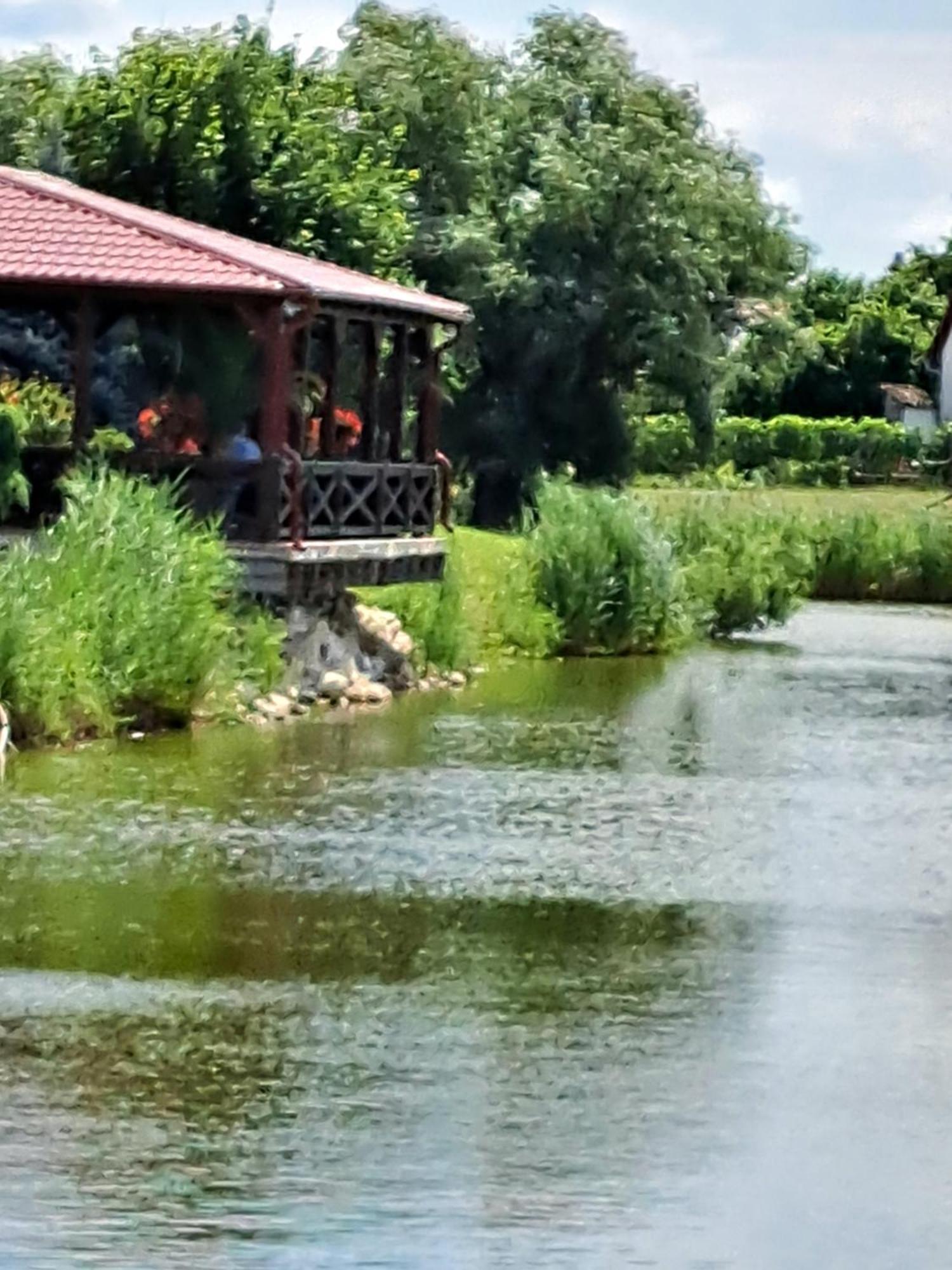 Grapeline Guesthouse Chotin Екстер'єр фото